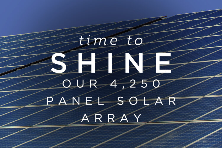 Time to shine: Our new 4,250 panel solar array