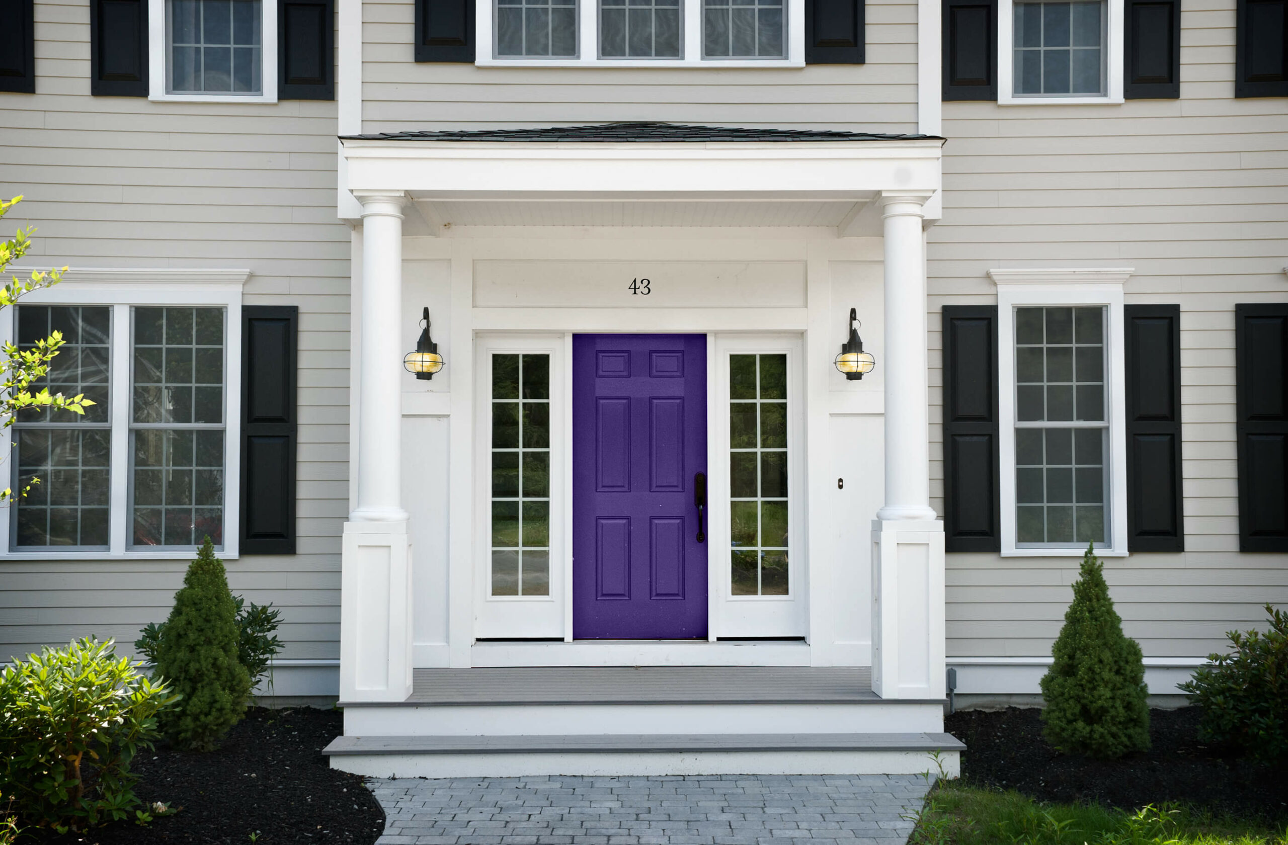 Photo of Masonite 6 panel purple door